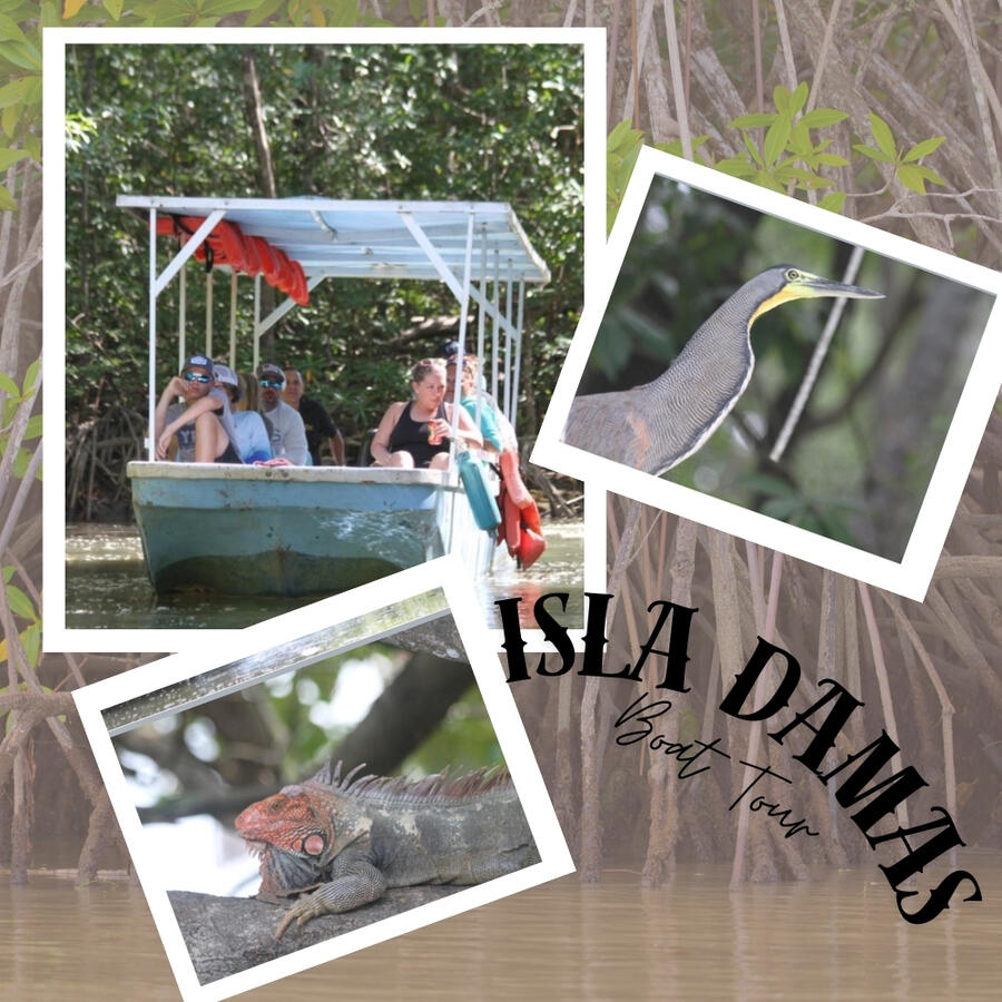 Take a relaxing boat tour to this small island full of mangroves, near the town of Quepos, As you take a leisurely ride through the mangroves, you'll spot birds and monkeys in the treetops, aquatic species swimming near and maybe even some crocodiles too!