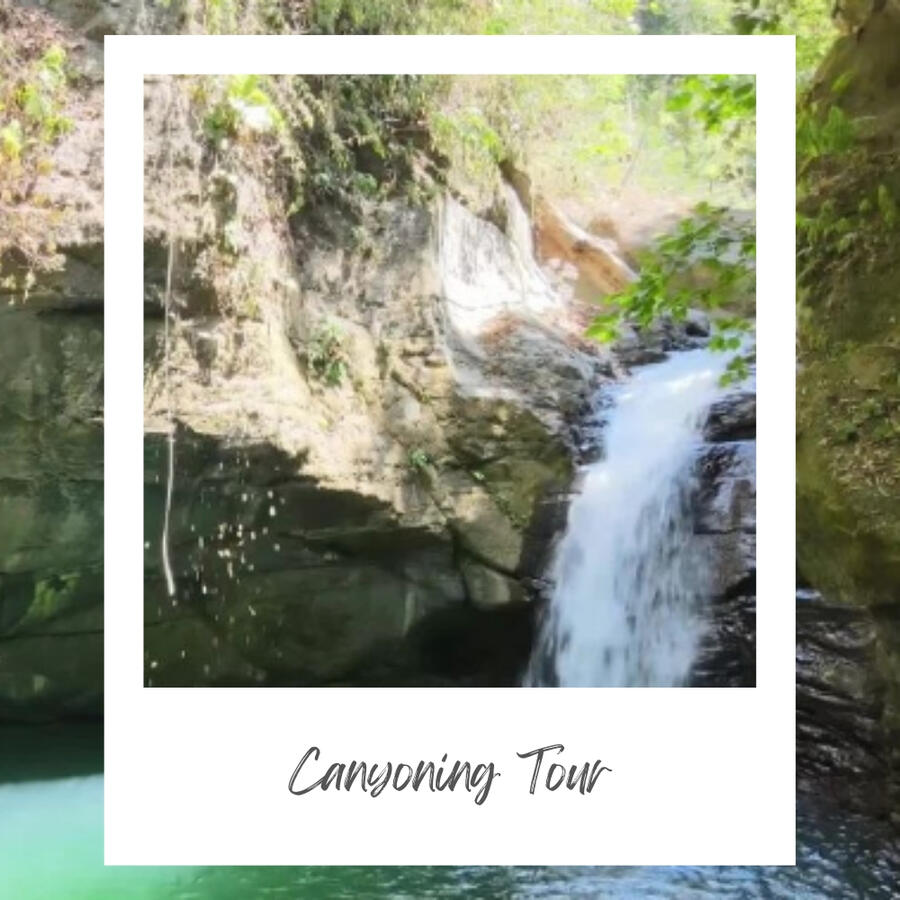 Have you ever repelled into a canyon via a waterfall? If you haven't, then now is your chance. This tour requires some guts and some muscle, so be sure you know your levels as you select the waterfall and terrain you want to conquer!