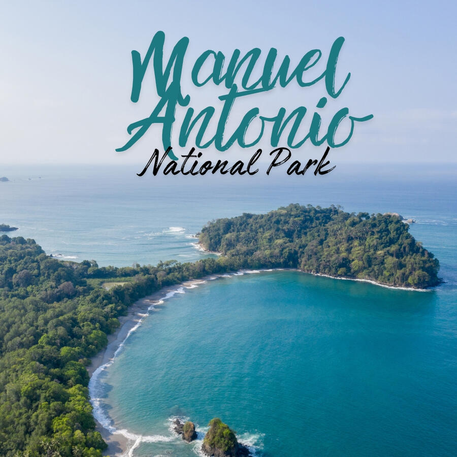 In between the towns of Jaco and Dominical, in the popular town of Manuel Antonio sits a National Park you must see. A bilingual guide will lead you through the park and point out sloths, monkeys, toucans and more. All wildlife enthusiasts will enjoy this