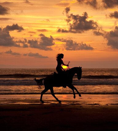 Stroll down the breathtaking sandy beaches near Uvita, Costa Rica on horseback, as you watch the sun set into the Pacific Ocean. This relaxing and beautiful tour is scheduled at sundown so you can experience one of the most beautiful hours in paradise. Per