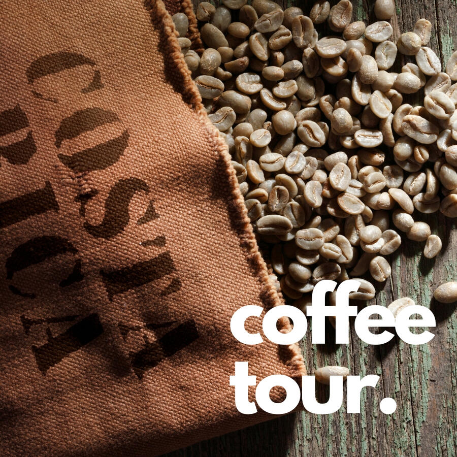 Everyone knows the coffee grown in Costa Rica is something special. Learn first-hand just how this magical liquid of the gods is made -from the first seed being planted to the aromatic final pour into your cup. This tour will tickle your taste buds.